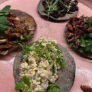 A plate of four tacos each with different ingredients